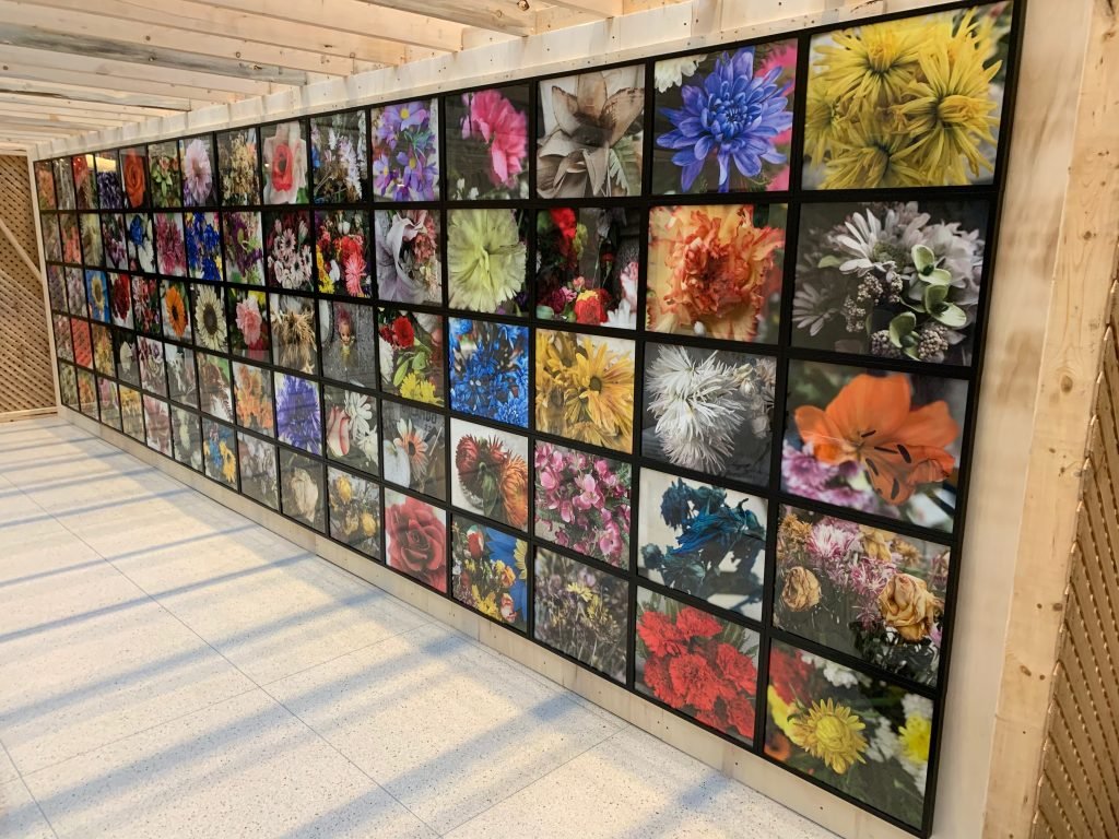 Union Station Installation